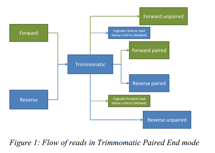 Paired_EndTrimming