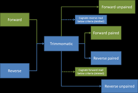 Paired_EndTrimming